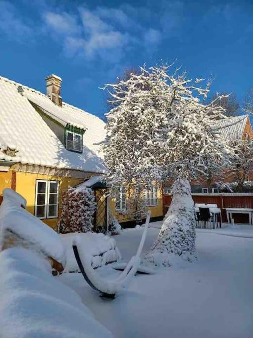 Idyllisk, Historisk Byhus Ved Fjorden I Mariager ภายนอก รูปภาพ