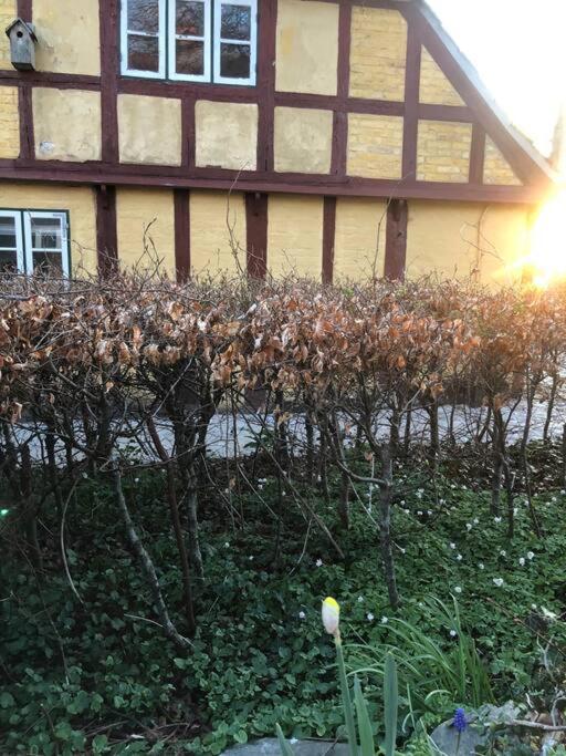 Idyllisk, Historisk Byhus Ved Fjorden I Mariager ภายนอก รูปภาพ